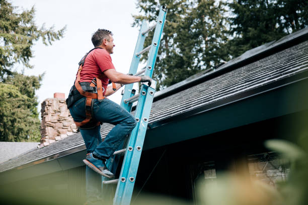 Best Roof Coating and Sealing  in San Juan Pistrano, CA